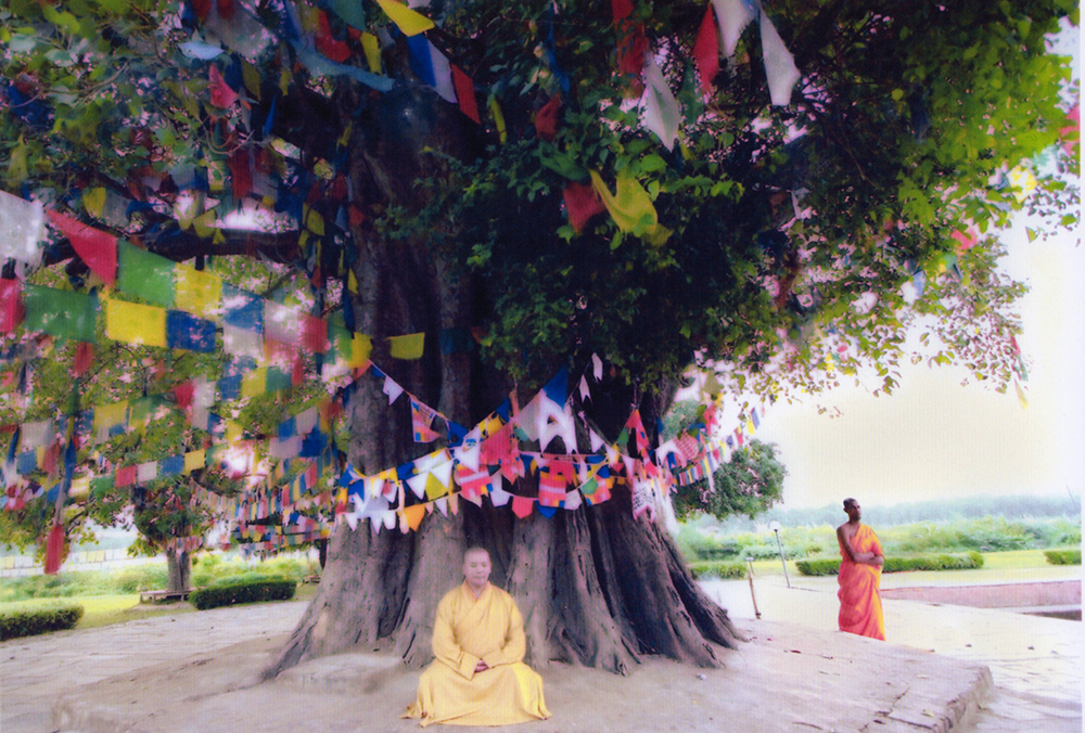 尼泊爾 倫比尼(Lumbini)-釋湛阿（Shi, Zhan-Ah）阿闍梨-打坐-於-掛滿五色旗-的-菩提樹 下