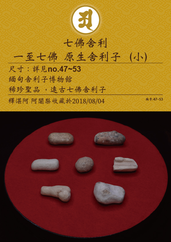 虛空-如來山-阿密寺-七佛-原生-佛骨-舍利子-47-53-釋湛阿-阿闍梨-收藏