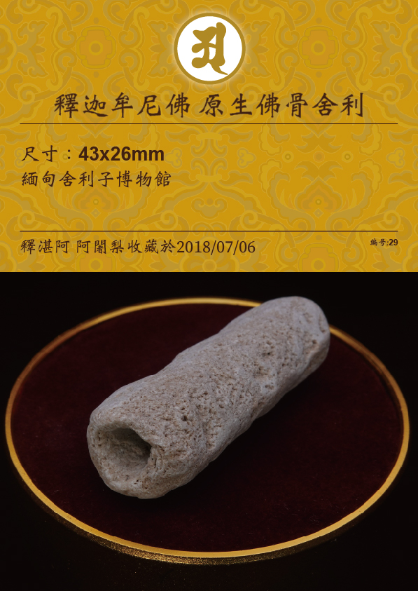 釋迦牟尼佛-虛空-如來山-阿密寺-原生-佛骨-舍利子-29-釋湛阿-阿闍梨-收藏