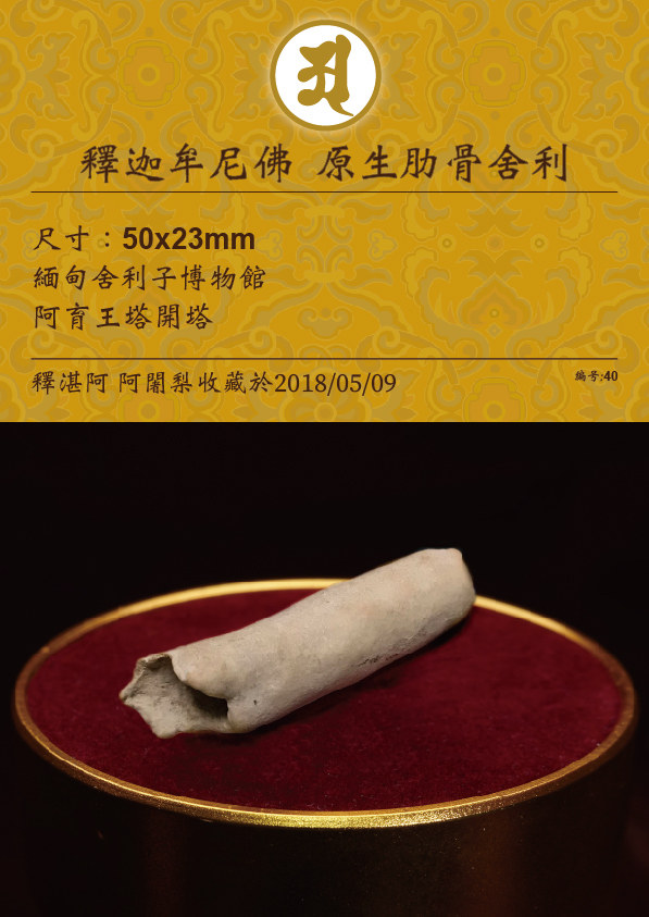釋迦牟尼佛-虛空-如來山-阿密寺-原生-佛骨-舍利子-40-釋湛阿-阿闍梨-收藏