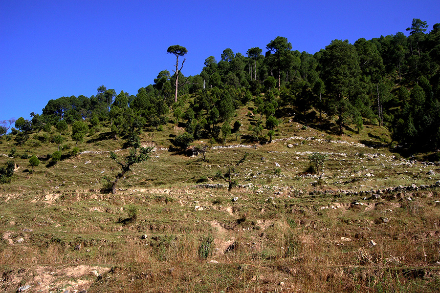 釋湛阿-Shi, Zhan-Ah--印度-預選道場-Uttarakhand（烏塔拉坎德邦）地區的風景