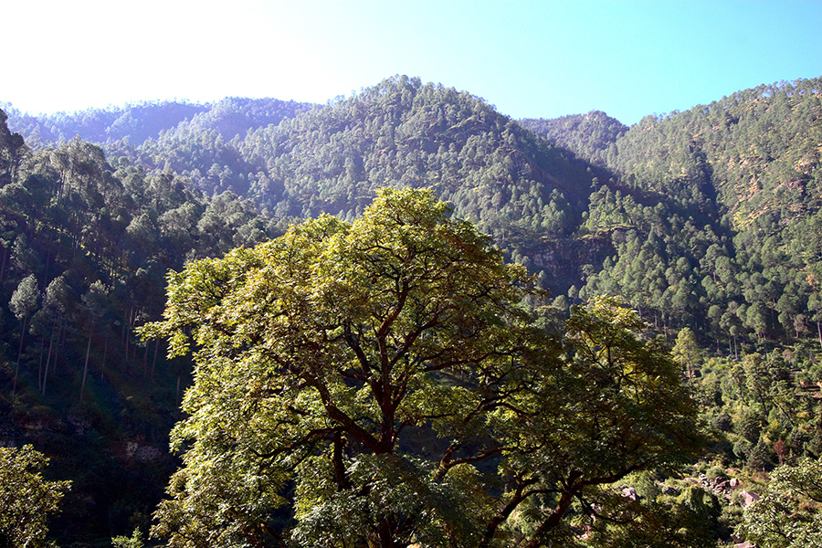 釋湛阿-Shi, Zhan-Ah--印度-預選道場-Uttarakhand（烏塔拉坎德邦）地區的風景