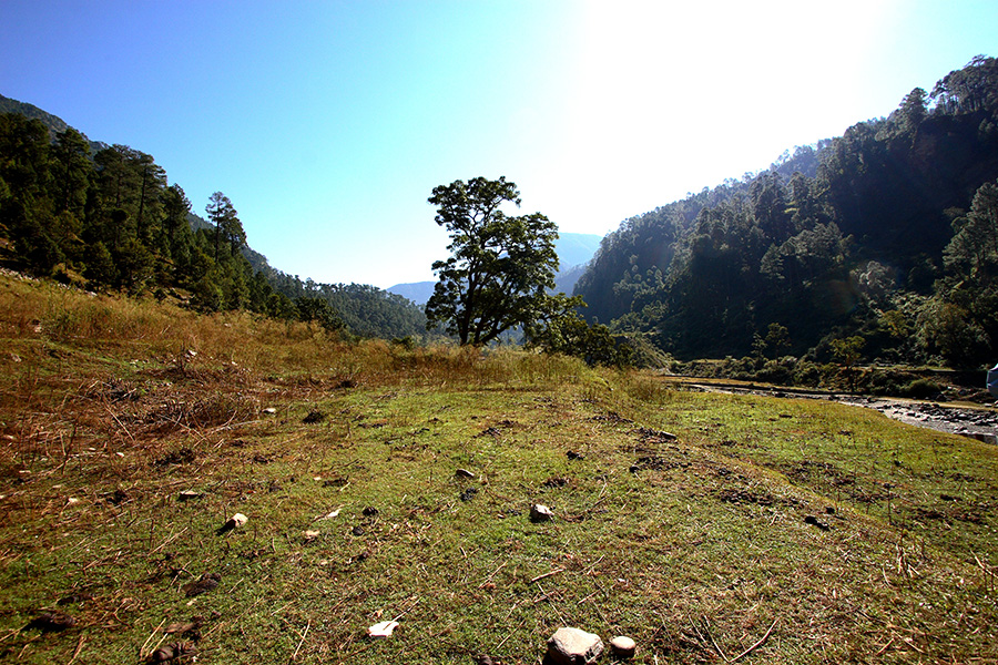 釋湛阿-Shi, Zhan-Ah--印度-預選道場-Uttarakhand（烏塔拉坎德邦）地區的風景